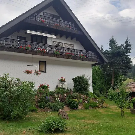 Ferienapartment Karle Nordrach Экстерьер фото