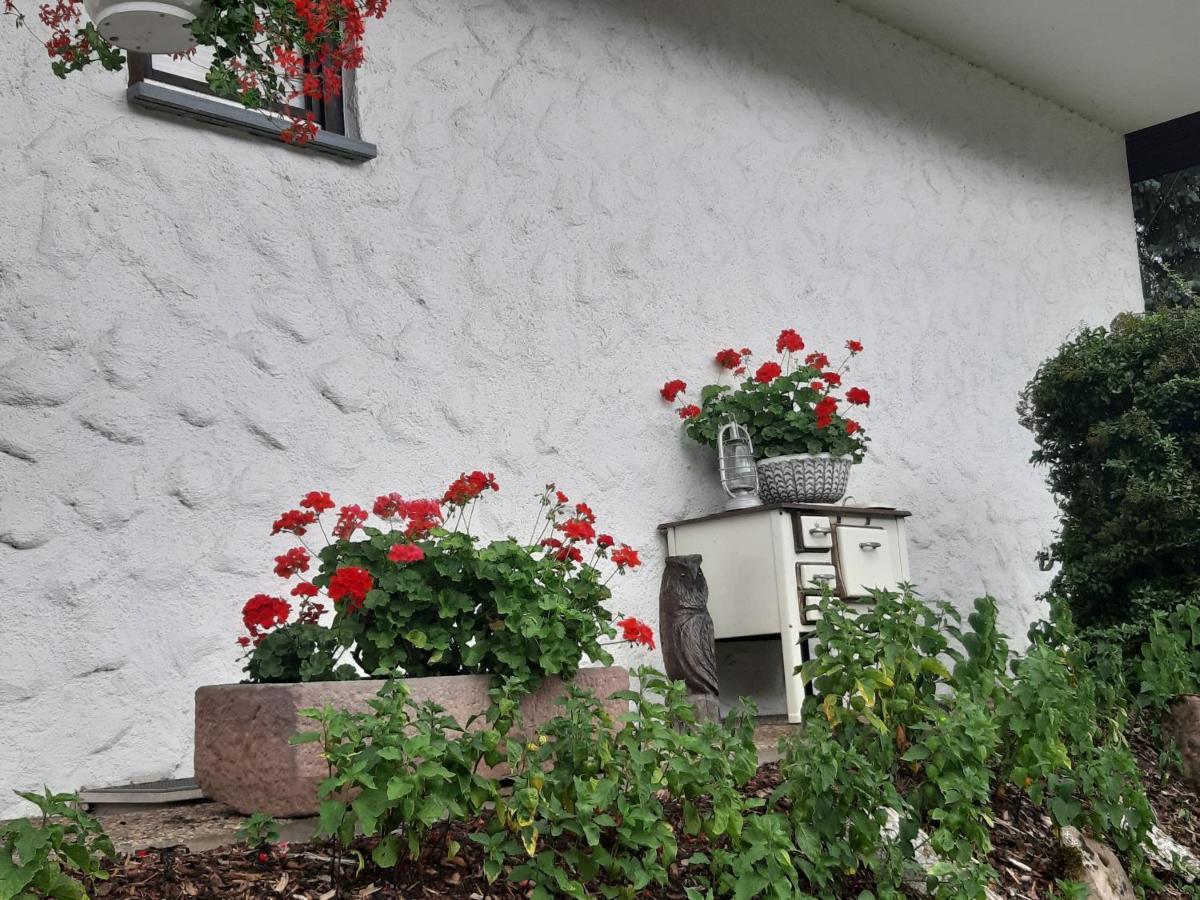 Apartment Ferienapartment Karle *